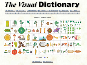 Visual Dictionary Plants